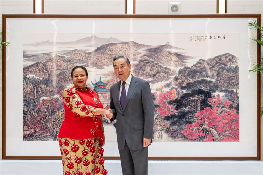 Ministros das Relações Exteriores da China e da África prometem laços mais fortes