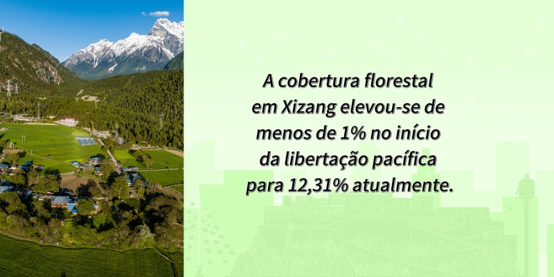 Números que testemunham as grandes mudanças em Xizang nos últimos 60 anos