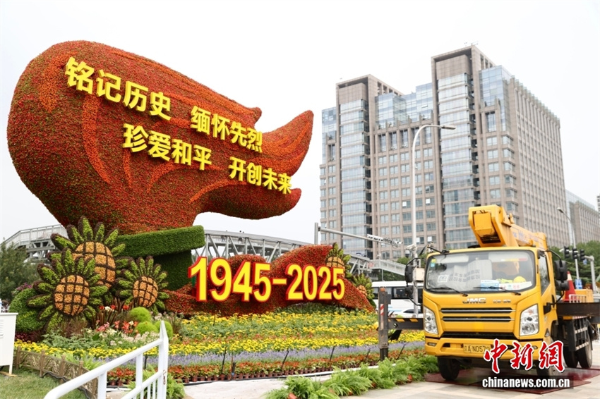 Beijing instala canteiro temático de flores para comemorar 80º aniversário da vitória na Guerra de Resistência do Povo Chinês contra a Agressão Japonesa