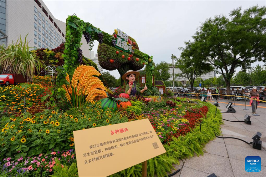 Exibições florais enfeitam Beijing antes do desfile do Dia da Vitória