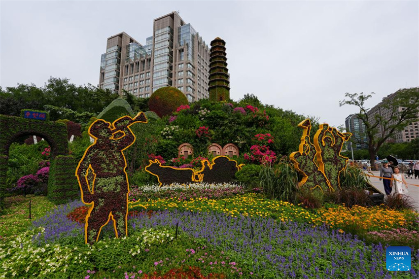 Exibições florais enfeitam Beijing antes do desfile do Dia da Vitória