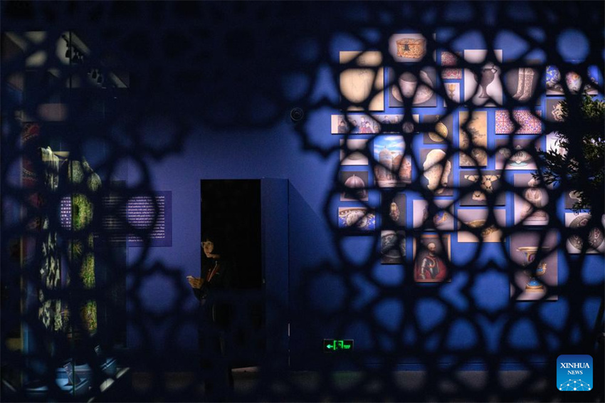 Exposição colaborativa sobre patrimônio cultural dos países da OCS inaugura em Beijing