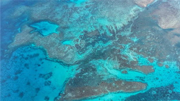 China divulga detalhes da Reserva Natural Nacional de Huangyan Dao