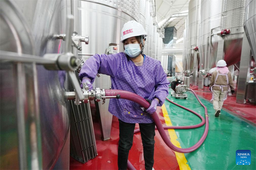 Ningxia: vila de Minning prospera em meio à transformação ecológica