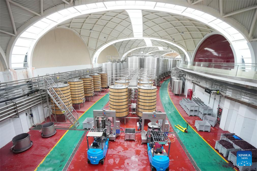 Ningxia: vila de Minning prospera em meio à transformação ecológica