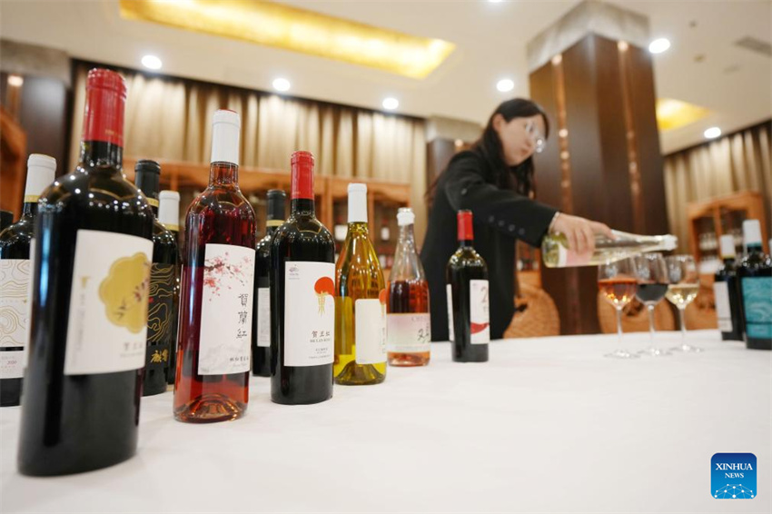 Ningxia: vila de Minning prospera em meio à transformação ecológica