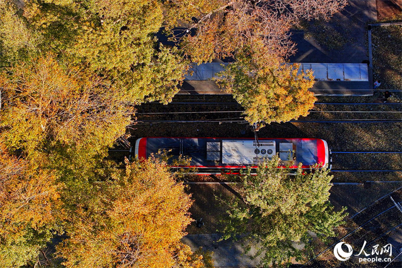 Bonde cultural e turístico se torna 