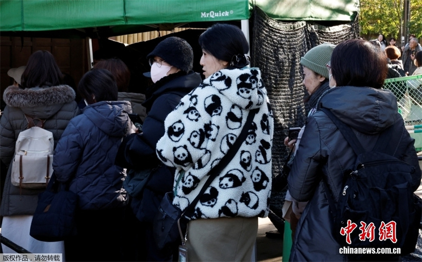 Japoneses fazem fila para se despedir dos últimos pandas-gigantes no país
