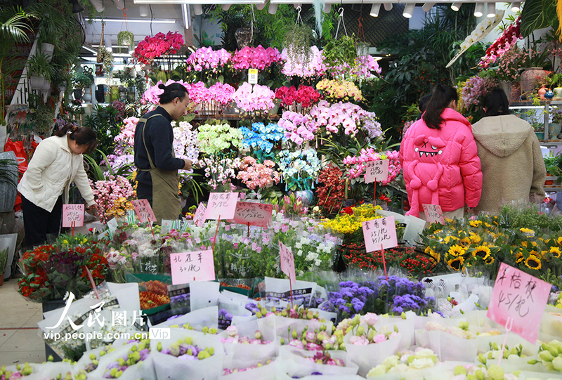 Galeria: Nanjing se enche de flores para celebrar chegada do Ano Novo