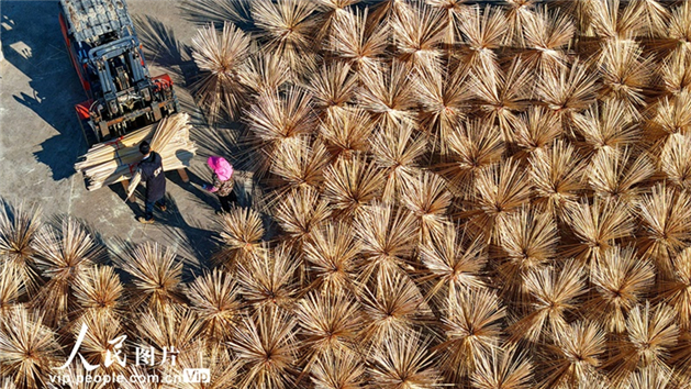 Indústria do bambu impulsiona renda rural em Guangchang, no leste da China