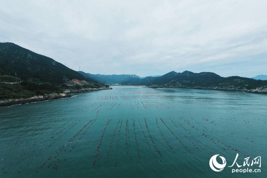 Fujian é pioneira no novo modelo de integração entre pesca e turismo