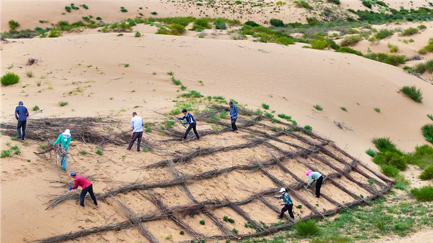 Ordos: “Trabalho em troca de auxílio” impulsiona o combate à desertificação