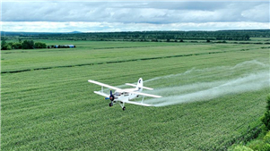 China aprimora mecanismo de investimento para impulsionar revitalização rural A China divulgou um plano para aprimorar seu mecanismo de investimento para a revitalização rural, como parte de esforços mais amplos para impulsionar o desenvolvimento agrícola e rural.