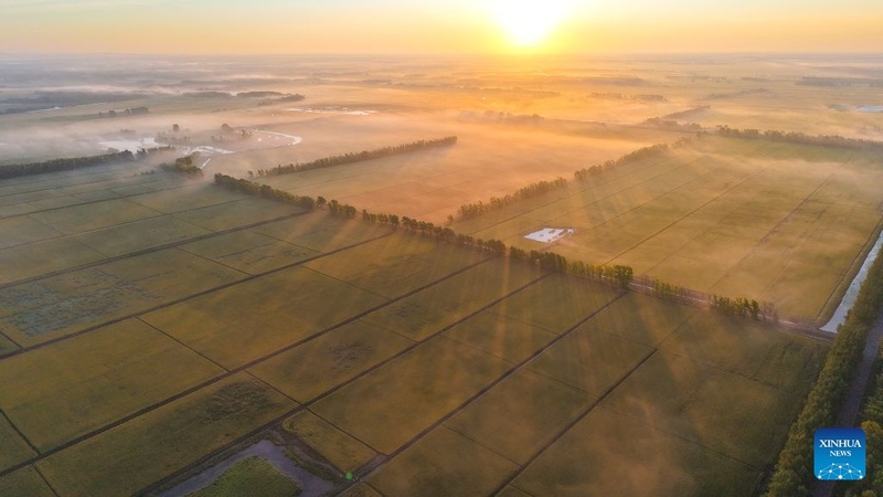 Agricultores ocupados com trabalhos agrícolas durante “Orvalho Branco”
