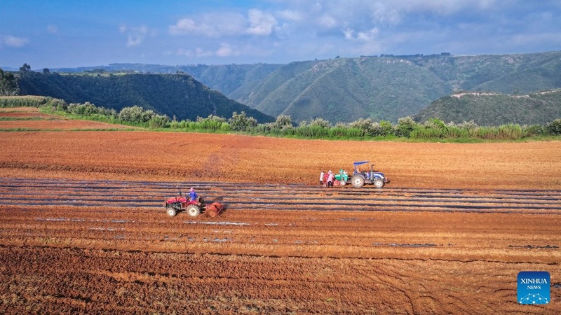 Agricultores ocupados com trabalhos agrícolas durante “Orvalho Branco”