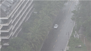 Mais de 31 mil pessoas evacuadas em virtude das chuvas fortes em Hainan, sul da China Mais de 31.000 pessoas foram evacuadas de áreas de risco na província de Hainan, no sul da China, à medida que chuvas fortes e persistentes atingiam partes da ilha.