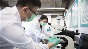 Laboratório conjunto intensifica parceria entre China e Portugal na proteção do patrimônio culturalA reunião para a cooperação na construção integrada tripartida do Laboratório Conjunto China-Portugal para as Ciências da Conservação do Patrimônio Cultural foi realizada em Suzhou, em 22 de outubro.