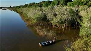 Holanda anuncia intenção de investir até US$ 500 milhões em fundo florestal lançado pelo BrasiO investimento está previsto para um período de 10 anos e faz parte dos compromissos internacionais do país europeu para combater as mudanças climáticas e proteger a biodiversidade.