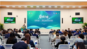 Empresas da China e de Portugal se encontram em Chengdu para procurar oportunidades de cooperaçãoFoi aberta a Sessão de Matchmaking Empresarial China-Portugal no dia 23 de outubro em Chengdu.
